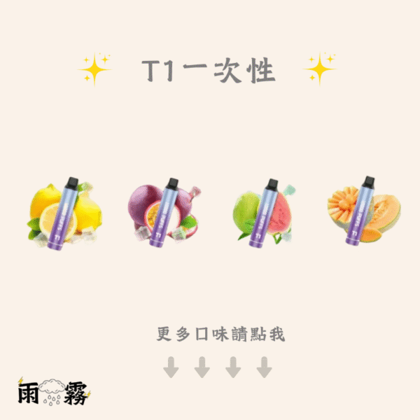 t1 一次性 抽完就丟 拋棄式