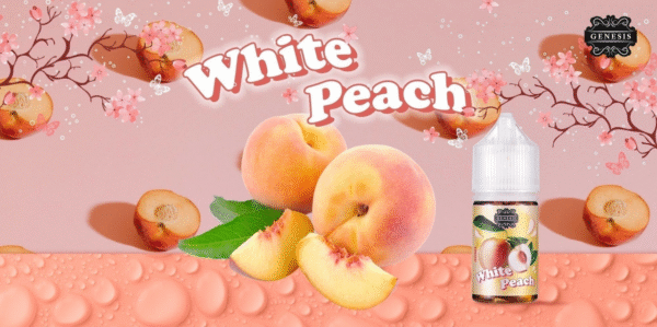 GENESIS 小油 創世紀 小油 電子煙油 油品