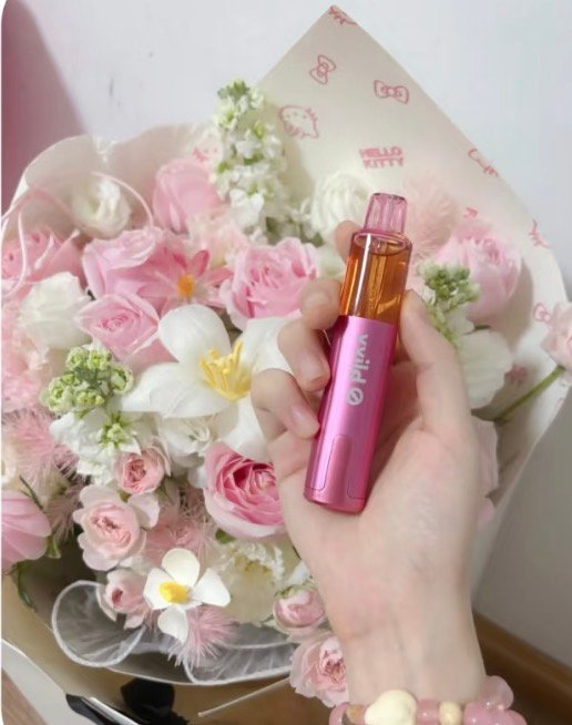 小野 小野vvild 小野vvild外星人 vvild外星人 一次性 12000口 小野一下 陳冠希